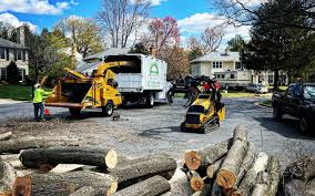 Best Commercial Tree Services  in Opa Locka, FL