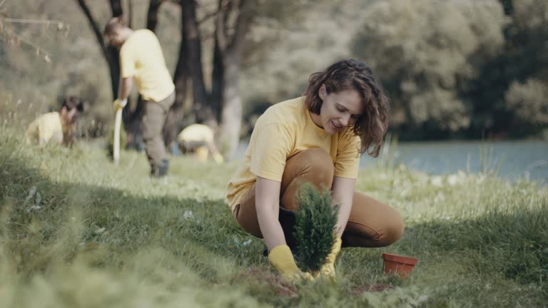 Best Lawn Irrigation Installation and Maintenance  in Opa Locka, FL