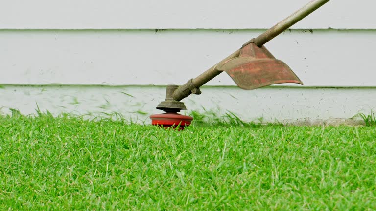 Reliable Opa Locka, FL Tree Services Solutions